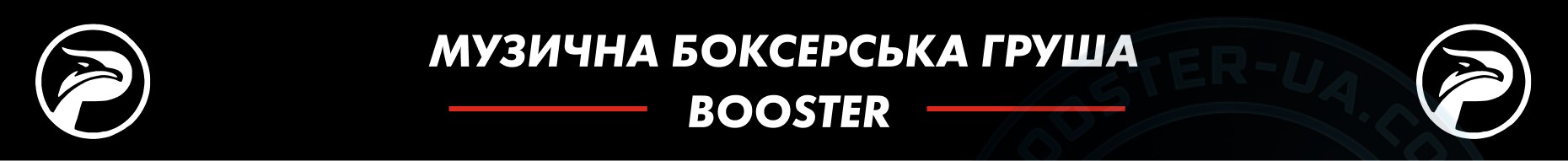 Музична груша Booster
